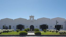 En la nota, qué bodega del norte argentino se destaca con esta particular cepa.