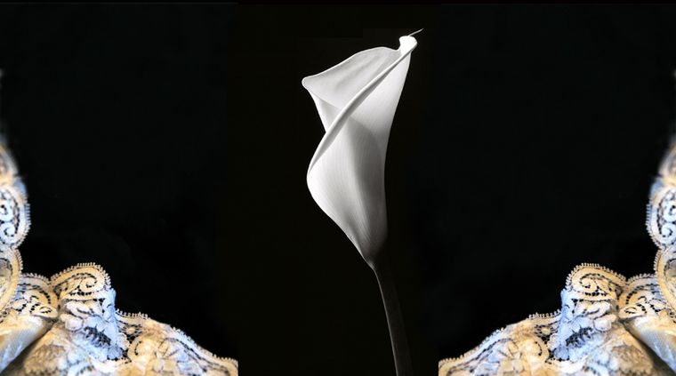 Foto: planetadelibros.com