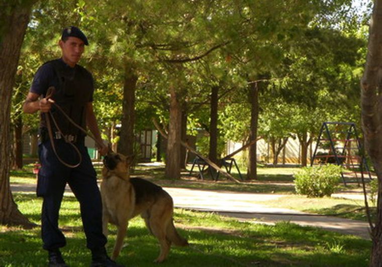 Lo único que puso el Gobierno: un efectivos de canes en la plaza. Foto: MDZ