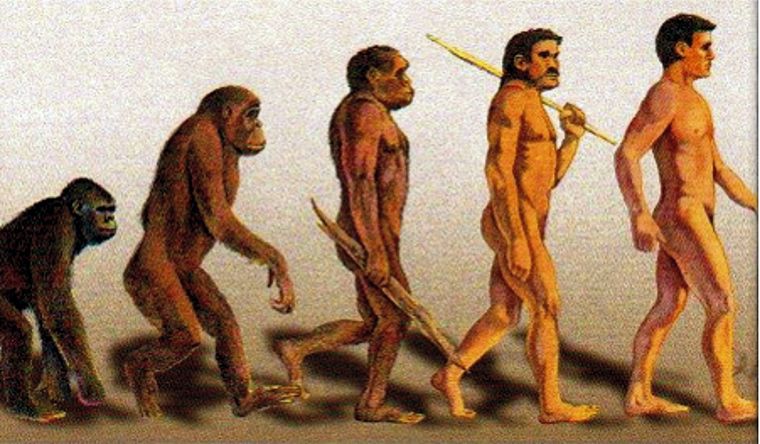 evolución humana La evolución humana sigue reglas que son permanentemente investigadas. Foto: Efe.