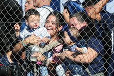 un diputado quiere prohibir el ingreso de bebes a la popular de las canchas de futbol