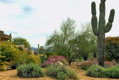 Para un área propensa a incendios forestales  la grava (sedimentos de roca) y la piedra triturada son dos materiales importantes para el paisajismo. Foto: Noelle Johnson/Dry Climate Gardening