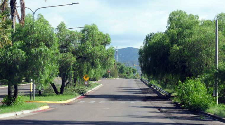 Foto: ALF PONCE MERCADO / MDZ