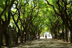 no es el que pensas: un barrio porteno, entre los mas trendy del mundo no es el que pensas: un barrio porteno, entre los mas trendy del mundo