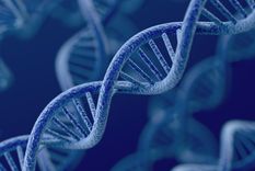 El autor de esta columna es Agustín Luján. Investigador postdoctoral del Centro de Regulación Genómica de Barcelona, España.