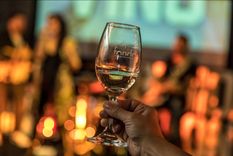 el tribunal de cuentas multo a autoridades del fondo vitivinicola por muebles y tickets mal declarados