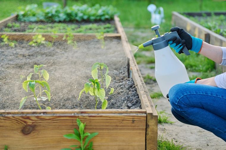 Los beneficios saludables de la jardinería. Foto: Shutterstock