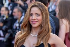 A sus 45 años, Shakira enciende las miradas con una producción de fotos. Foto: Instagram