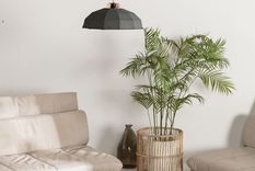 El japandi es sobrio, simple, con colores neutros y celebra las plantas de interior. Foto: Pinterest.