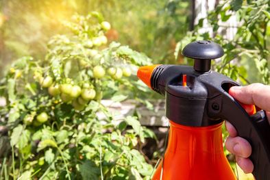 MDZol | Nutrientes para aportarle a nuestras plantas con la llegada de la primavera Foto: SHUTTERSTOCK.
