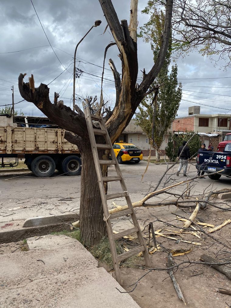 Un hombre se cayó desde un árbol a una acequia cuando cortaba ramas, se golpeó en la cabeza y murió Foto: Gentileza