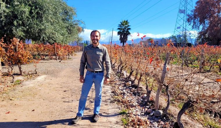 El ingeniero agrónomo Sebastián Bonfanti en los viñedos de Bodega Bonfanti, en Luján de Cuyo. El ingeniero agrónomo Sebastián Bonfanti en los viñedos de Bodega Bonfanti, en Luján de Cuyo.