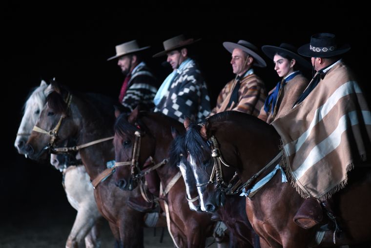 Los caballos criollos, ejemplares espectaculares. Los caballos criollos, ejemplares espectaculares.