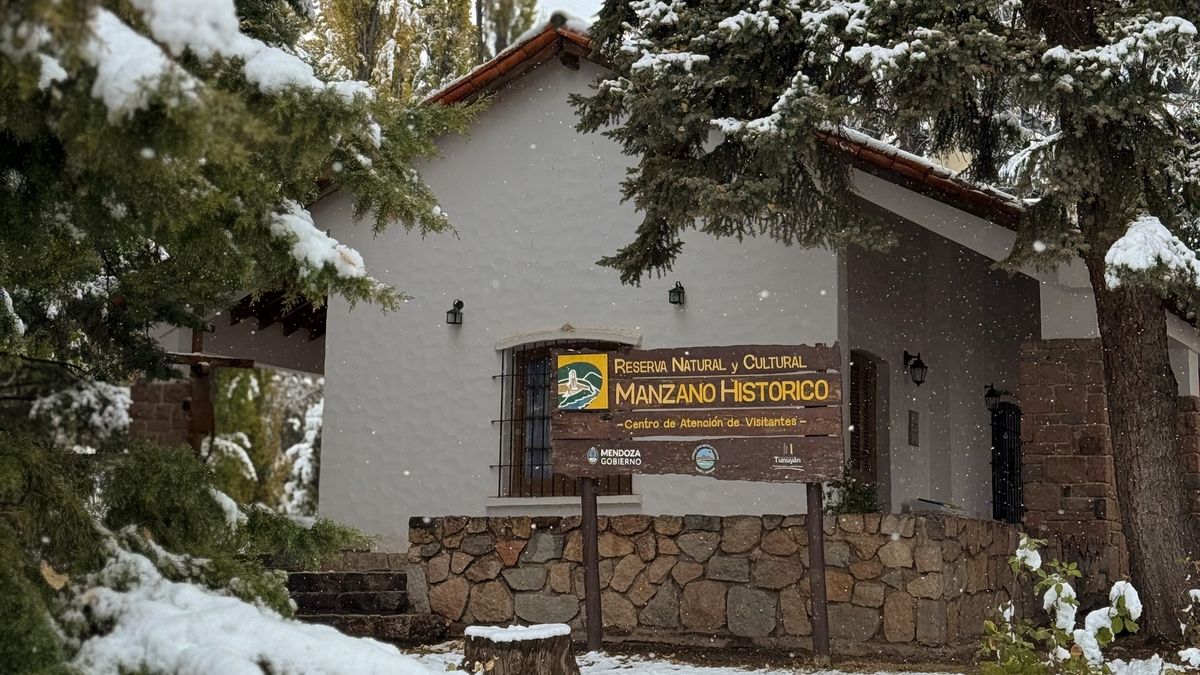 Las postales de una nevada histórica en Mendoza: el Manzano, la cordillera y el sur se vistieron de blanco