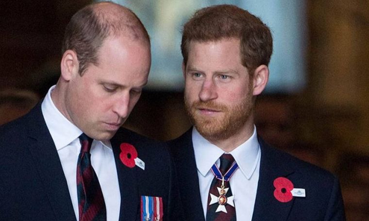 Príncipes William y Harry