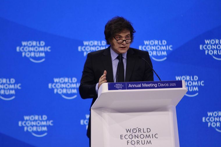 Javier Milei durante su polémico discurso en Davos Foto: Foto: Presidencia