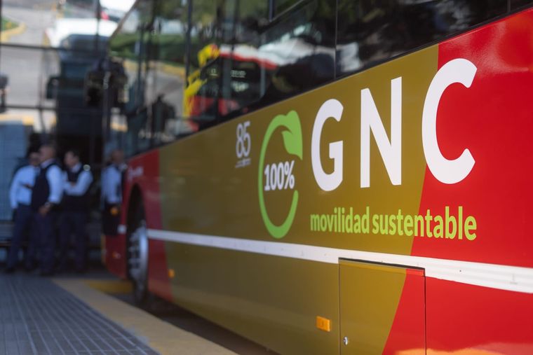 El transporte mendocino se renueva con 16 colectivos a GNC para mejorar el servicio y el ambiente. El transporte mendocino se renueva con 16 colectivos a GNC para mejorar el servicio y el ambiente.