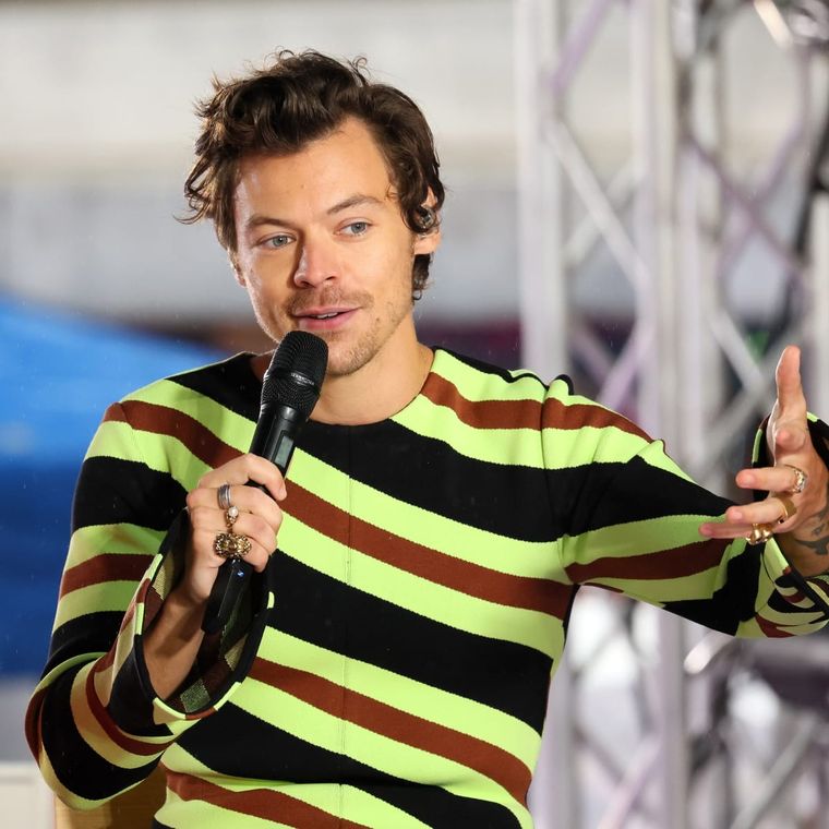 Foto: https://parade.com/news/fan-proposes-harry-styles-concert-portugal-2022