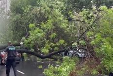 El hecho ocurrió a la altura de Díaz Vélez al 4100. Foto: Captura de video