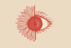 Test de personalidad