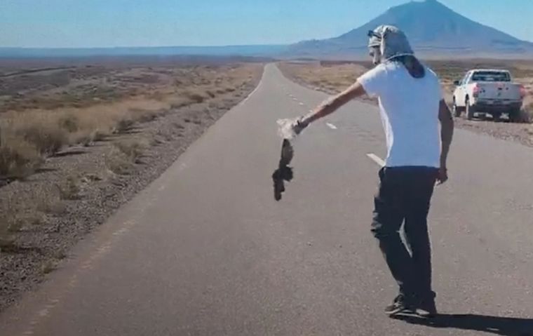 La falta de señalización, las altas velocidades y la fragmentación de hábitats explican gran parte de las muertes de animales en las rutas. La falta de señalización, las altas velocidades y la fragmentación de hábitats explican gran parte de las muertes de animales en las rutas.