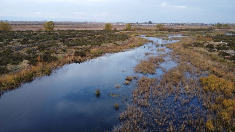 El Senado dio media sanción a un proyecto para expropiar un terreno y crear un humedal artificial en Los Corralitos.