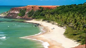 La playa con comodidades para disfrutar todo el día. La playa con comodidades para disfrutar todo el día.