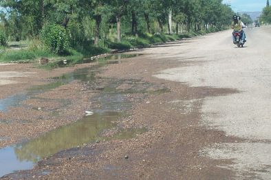 MDZol | Foto: Marcelo Schmitt/Mediamza.com