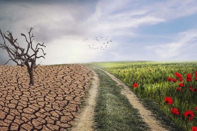 MDZol | Los eventos climáticos extremos siempre existieron, son naturales. Foto: Gentileza: Tec.