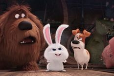 la vida secreta de tus mascotas tendra segunda parte