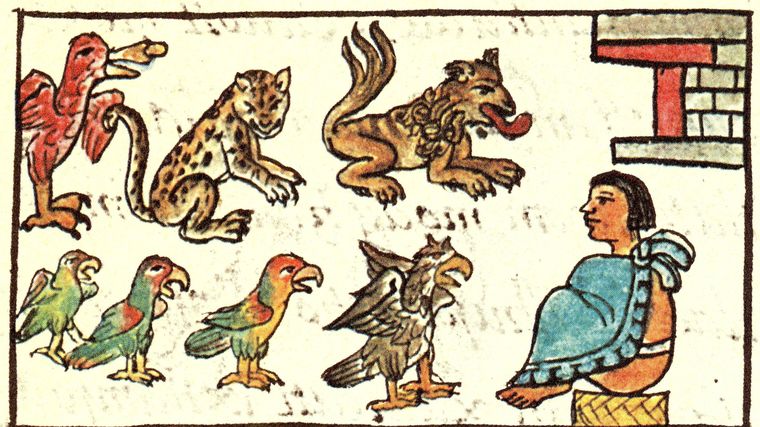 Los animales eran parte importante de la relación de los mexicas (o aztecas) con el universo.