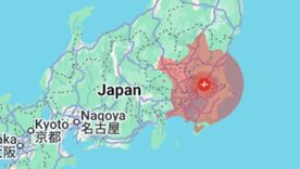 El terremoto dejó 37 heridos y se sintió en Tokio. El terremoto dejó 37 heridos y se sintió en Tokio.