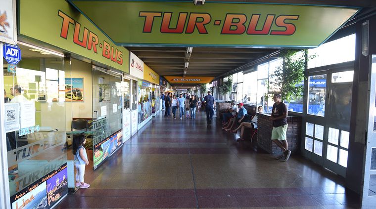 Foto: Pachy Reynoso/MDZ