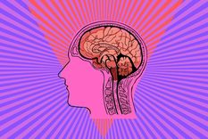 Tan solo el 5% de las personas adivina la respuesta de este difícil test visual Test visual Foto: Canva Tan solo el 5% de las personas adivina la respuesta de este difícil test visual Test visual Foto: Canva