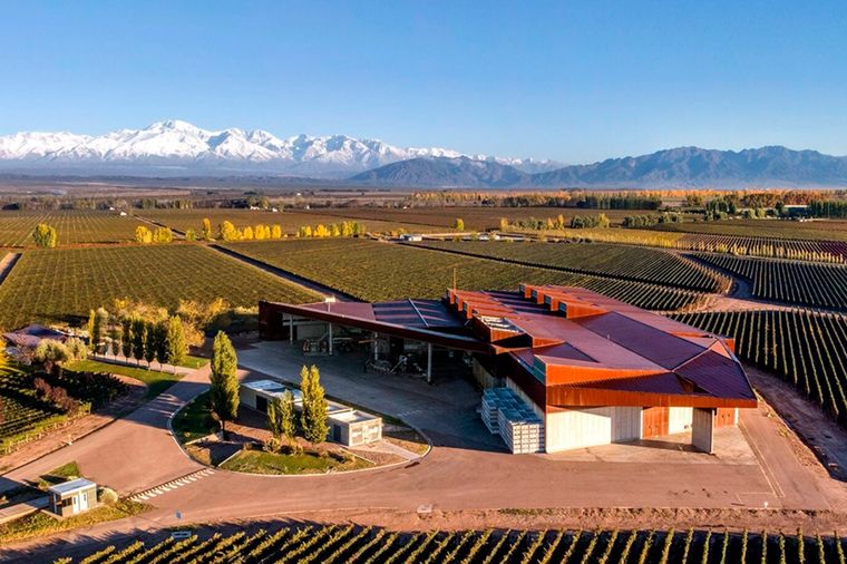 Bodega Navarro Correas.