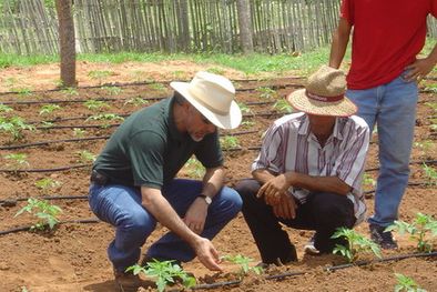 MDZol | Los sectores agroindustriales se verán beneficiados.