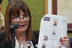 Un mensaje de Bullrich y el elogio de Milei Foto: NA