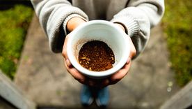 La marca Geisha de Panamá volvió a hacer historia al alcanzar un precio récord en la subasta Best of Panama 2025, donde un lote se vendió por más de 30.000 dólares por kilogramo, el precio más alto jamás pagado por café.