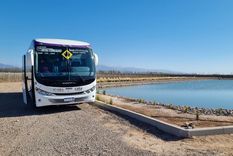 El Bus que lleva a los turistas por las bodegas