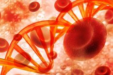 El 90% de las personas afectadas de hipercolesterolemia familiar (HF) no sabe que la tiene. Foto: GETTY IMAGES