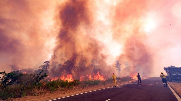 Los productores agropecuarios concurrirán el día de hoy a una asamblea abierta donde pedirán por más seguridad en las rutas y caminos rurales.  Foto: TELAM