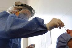 alarmante suba de casos de coronavirus en la provincia de mendoza alarmante suba de casos de coronavirus en la provincia de mendoza