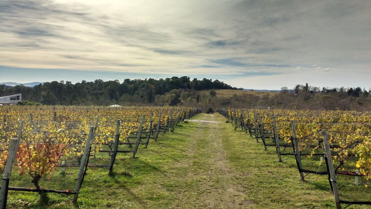 A minutos de Villa General Belgrano, este pueblo de Córdoba ofrece otra cara de las sierras
