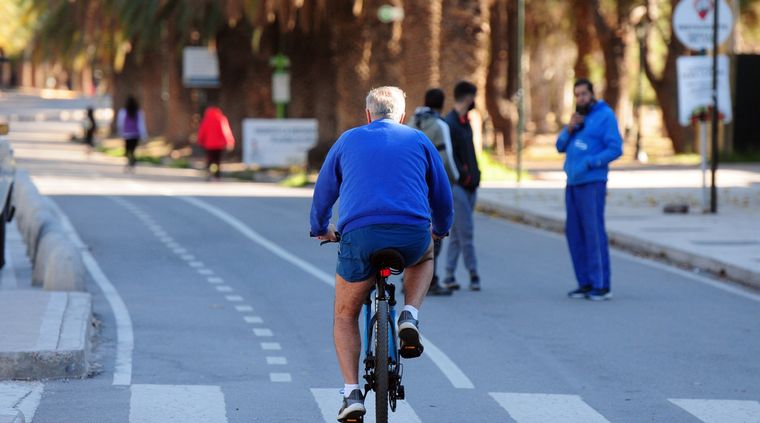 Realizar una actividad física todos los días reduce los riesgos de padecer sarcopenia en la vejez.&nbsp;