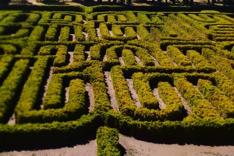 El británico Randoll Coate es el maestro que soñó literalmente el diseño del Laberinto de Borges en San Rafael, en Mendoza, y el de Venecia. El británico Randoll Coate es el maestro que soñó literalmente el diseño del Laberinto de Borges en San Rafael, en Mendoza, y el de Venecia.
