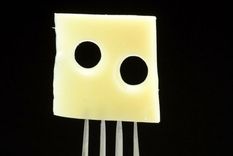 Coronavirus: la estrategia del queso suizo para protegerte de la covid-19