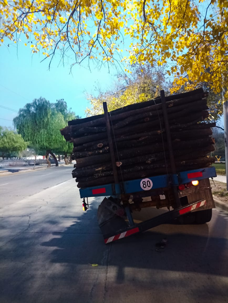 Foto: Emilce Vargas Ferrara / MDZ Radio