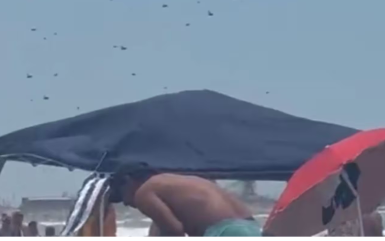 Los expertos aseguran que si alguien se cruza a un enjambre de abejas hay que evitar los movimientos bruscos. Estos insectos no pican si no se sienten amenazados. Foto: X