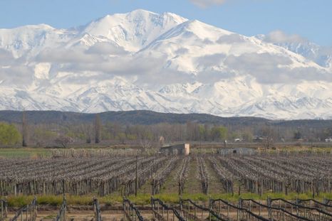 Viñedos en Tupungato, la magnitud de Mendoza. Viñedos en Tupungato, la magnitud de Mendoza.