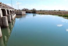 quiso rescatar a su perro y murio ahogado en san rafael quiso rescatar a su perro y murio ahogado en san rafael